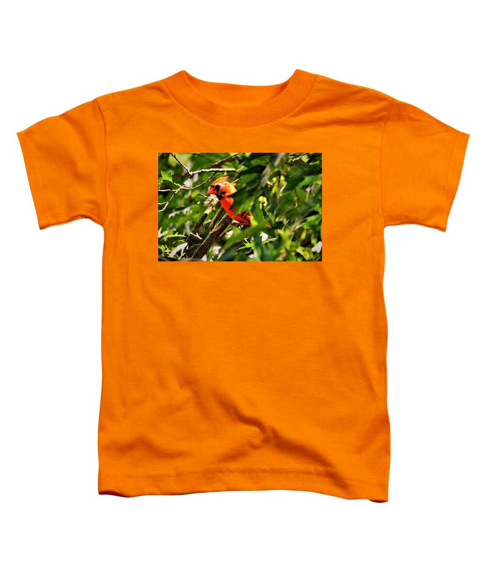 Cardinal Toddler T-Shirt featuring the photograph Cardinal in Tree by Chuck Brown