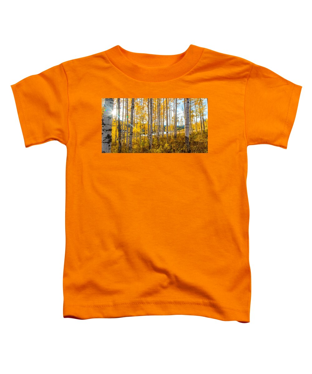 Fall Toddler T-Shirt featuring the photograph Colorado Expectations by Kevin Dietrich