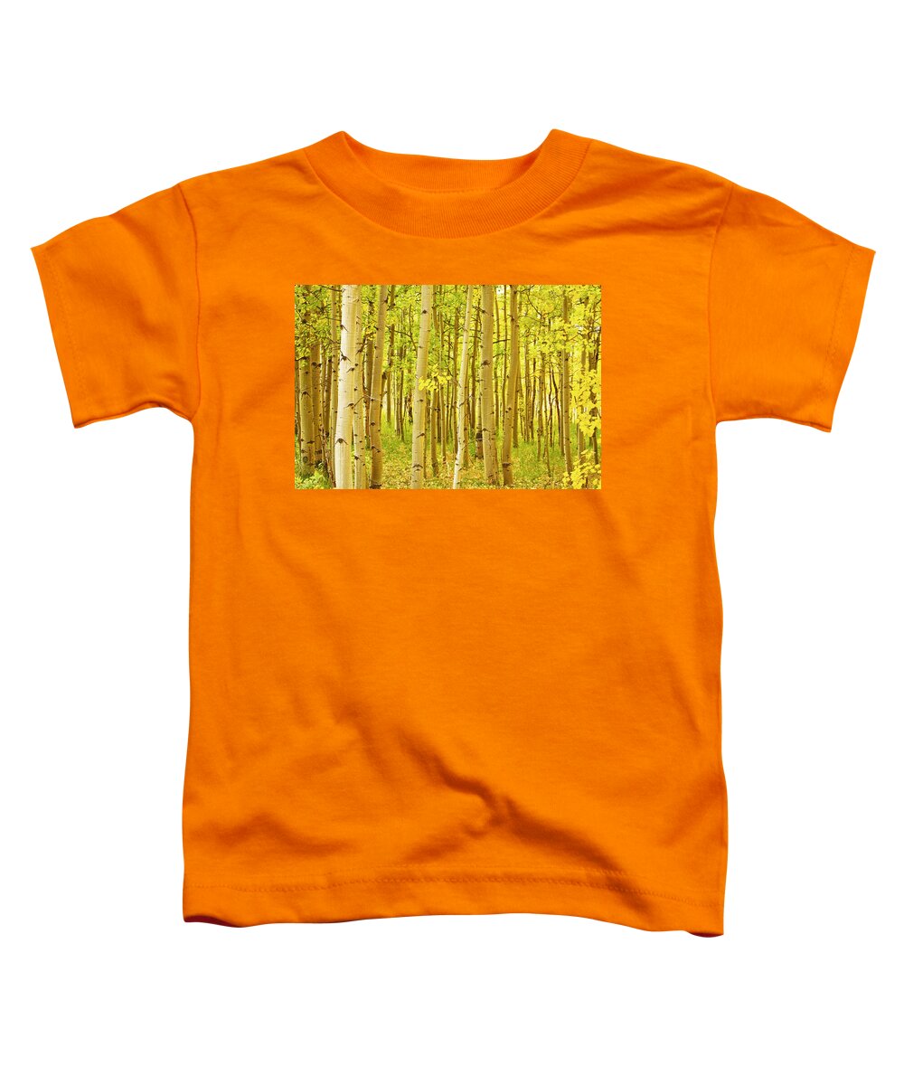 Autumn Toddler T-Shirt featuring the photograph Colorado Fall Foliage Aspen Landscape by James BO Insogna