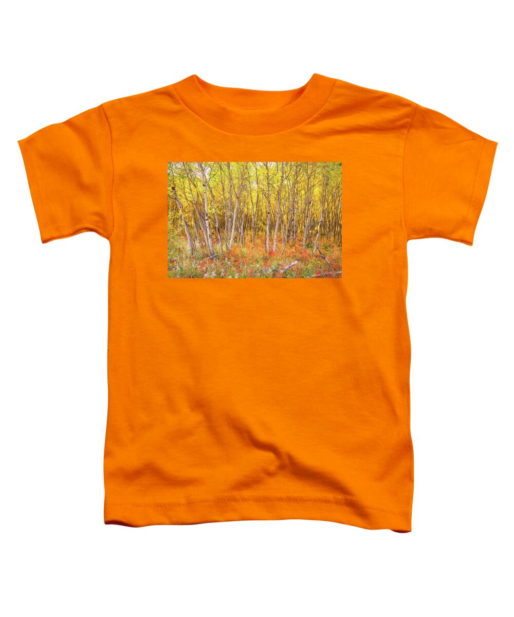 Painting Toddler T-Shirt featuring the photograph Colorful Nature Forest Countryside by James BO Insogna