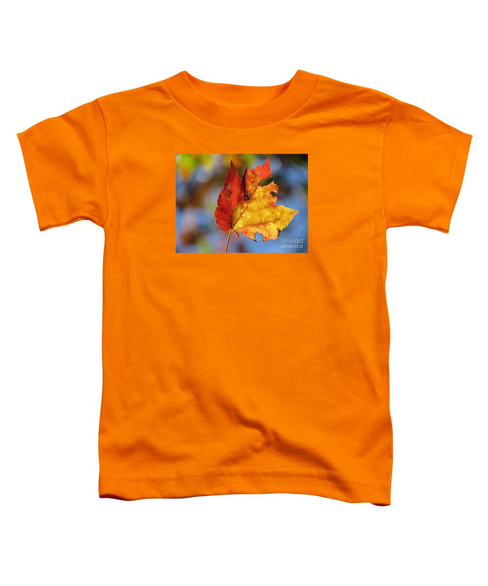 Leaves Toddler T-Shirt featuring the photograph Colors of Autumn 2015 by Lili Feinstein