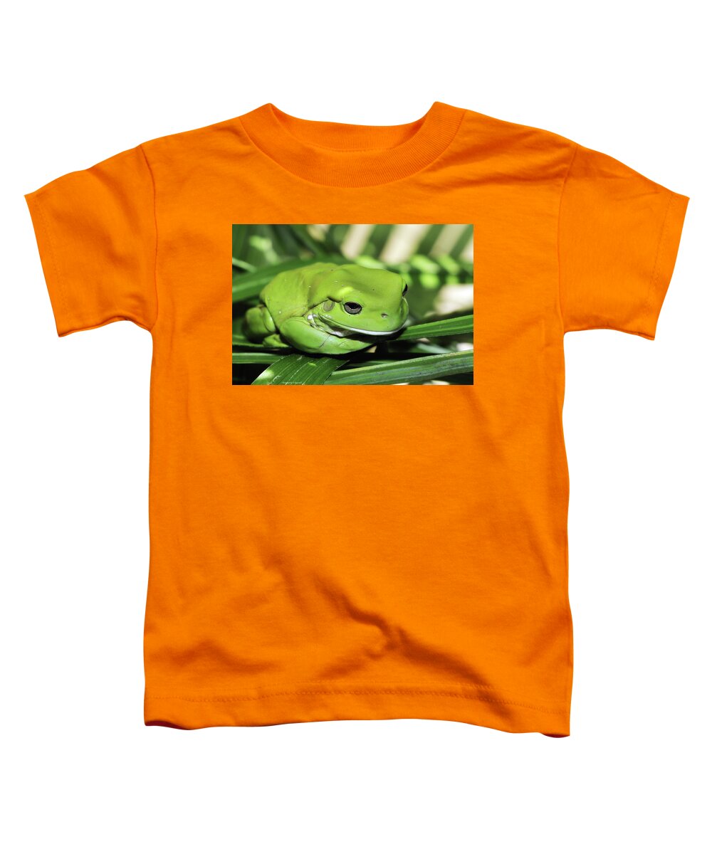 Green Frog Photography Toddler T-Shirt featuring the photograph Cool green frog 001 by Kevin Chippindall