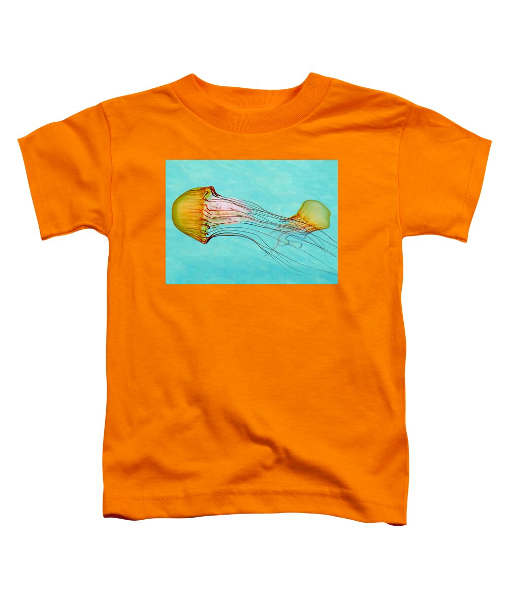 Jelly Fish Toddler T-Shirt featuring the photograph Criss Cross by Derek Dean