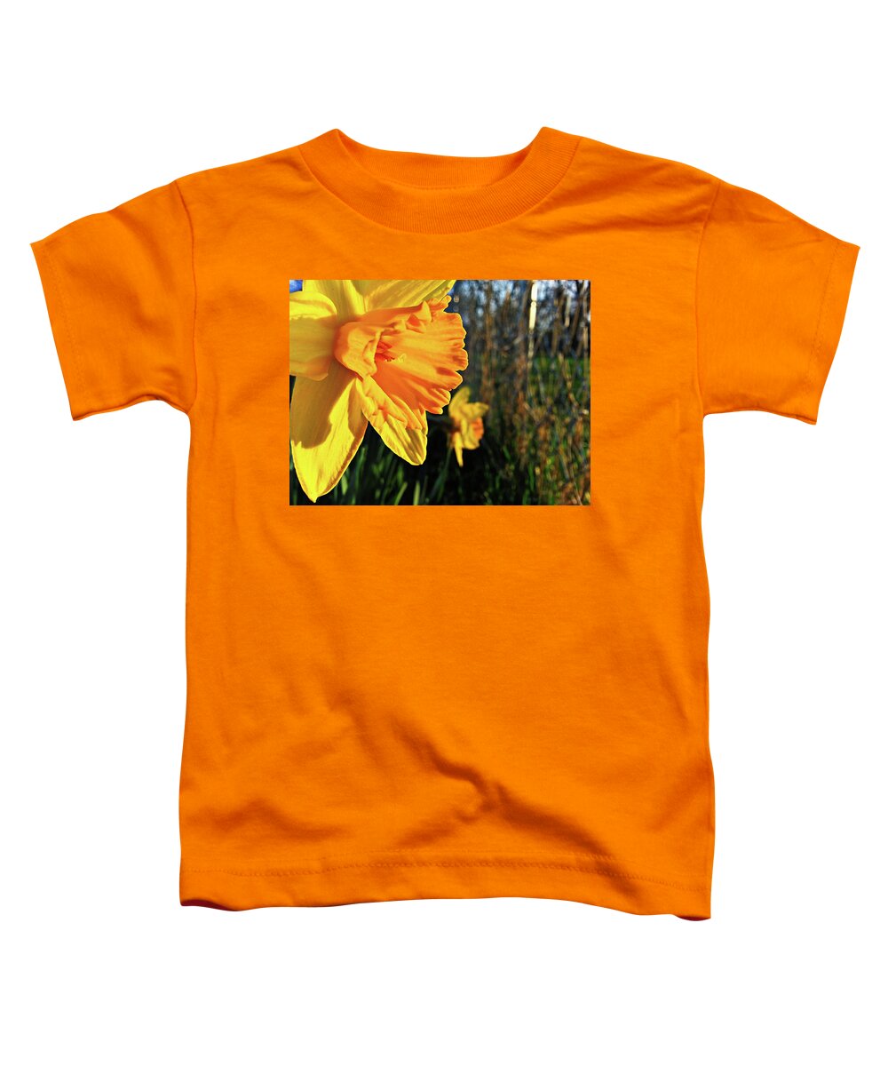 Daffodil Toddler T-Shirt featuring the photograph Daffodil Evening by Robert Knight
