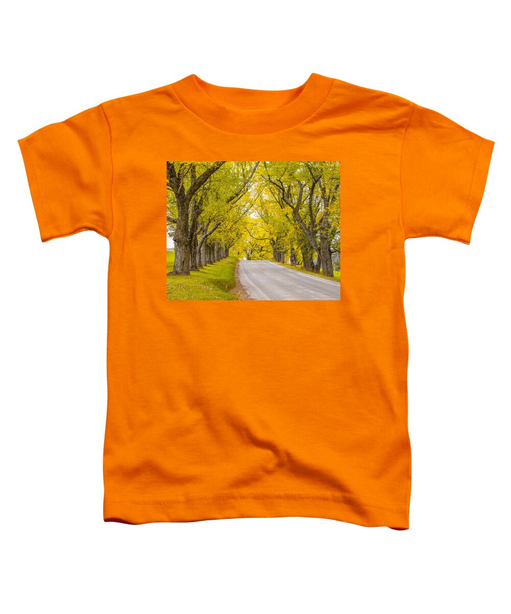 Autumn Toddler T-Shirt featuring the photograph Darling Hill Autumn by Tim Kirchoff