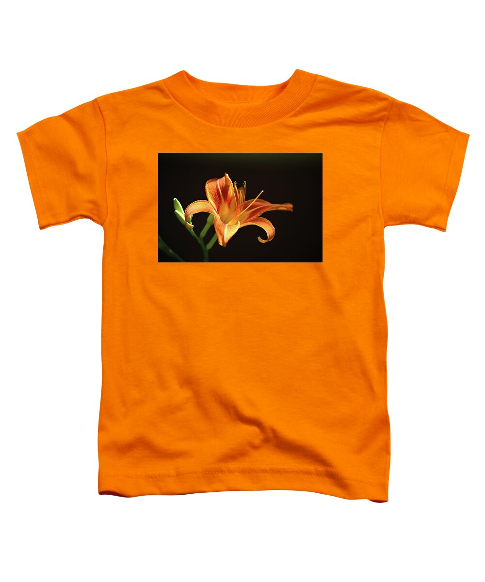 Lilies Toddler T-Shirt featuring the photograph Day Lily by Theresa Campbell