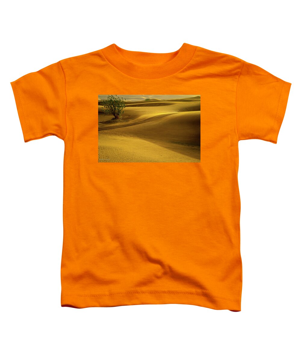 Desert Toddler T-Shirt featuring the photograph Desert Abstract Five by Aashish Vaidya