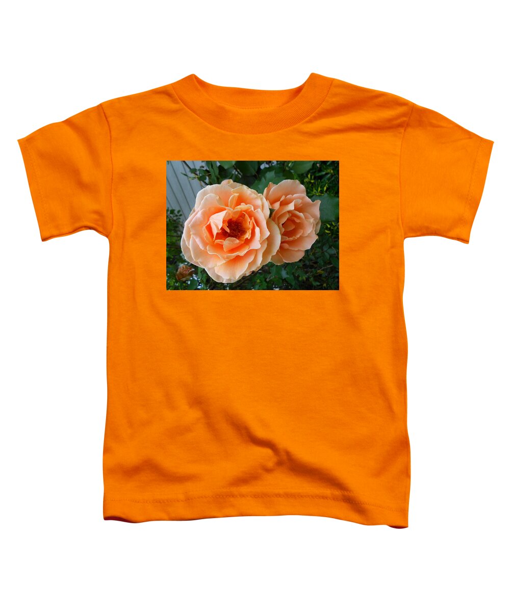 Photograph Toddler T-Shirt featuring the photograph Dreamsicle Roses by Cynthia Westbrook