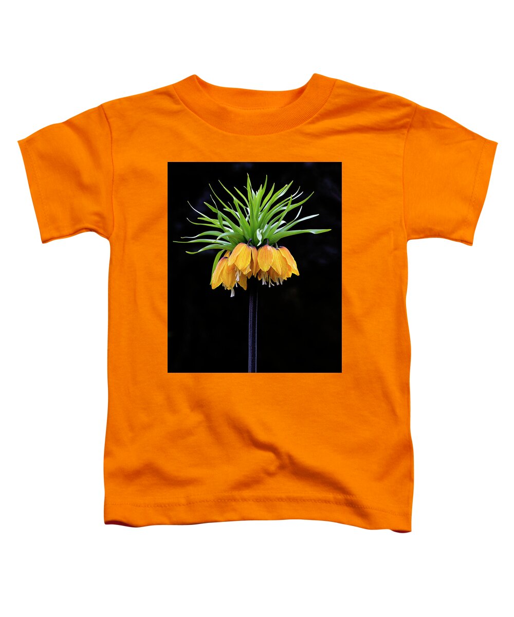 Flower Toddler T-Shirt featuring the photograph Elegance by Elvira Butler