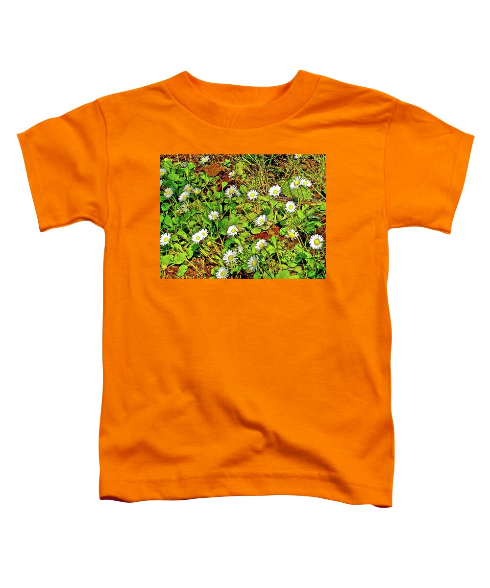 English Daisies By The Roadside In Cape Meares Beach In Cape Meares State Park Toddler T-Shirt featuring the photograph English Daisies by the Roadside in Cape Meares State Park, Oregon by Ruth Hager