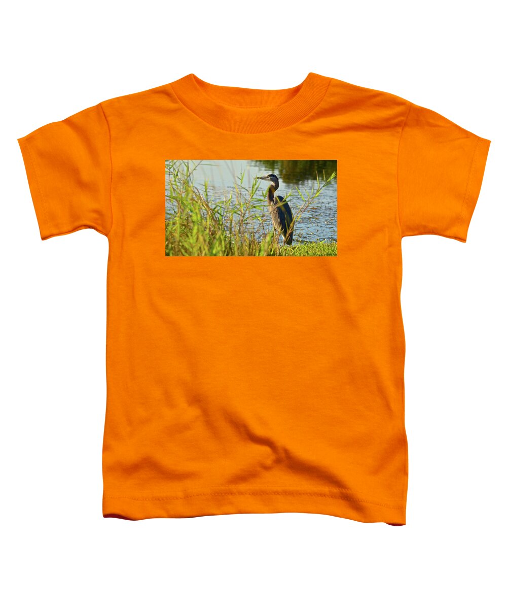 Sunshine Toddler T-Shirt featuring the photograph Enjoying the Last Rays of the Day by Carol Bradley