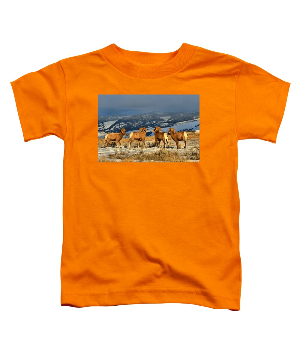 Bighorn Toddler T-Shirt featuring the photograph Enjoying The Teton Views by Adam Jewell