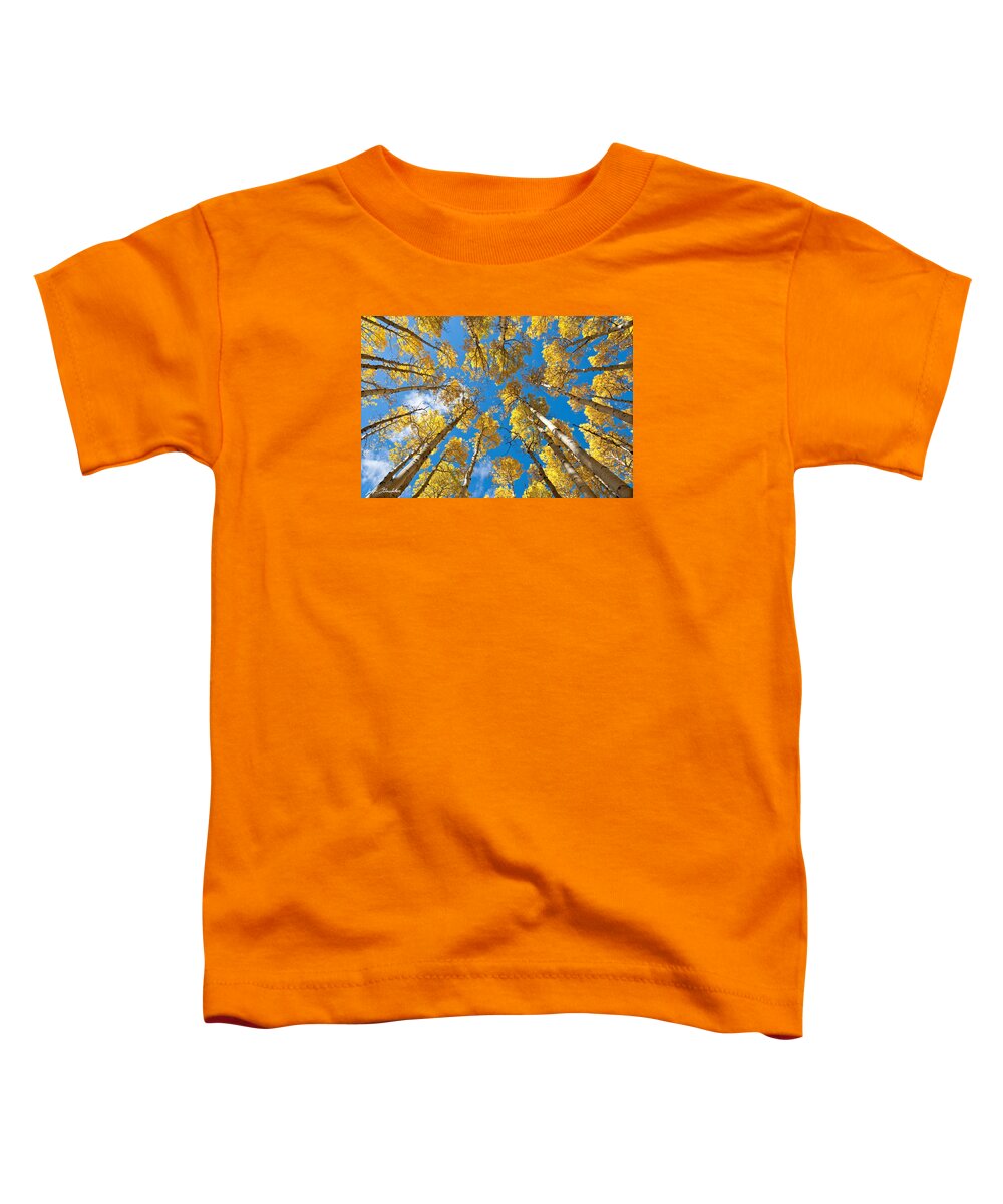 Arizona Toddler T-Shirt featuring the photograph Fall Colored Aspens in the Inner Basin by Jeff Goulden