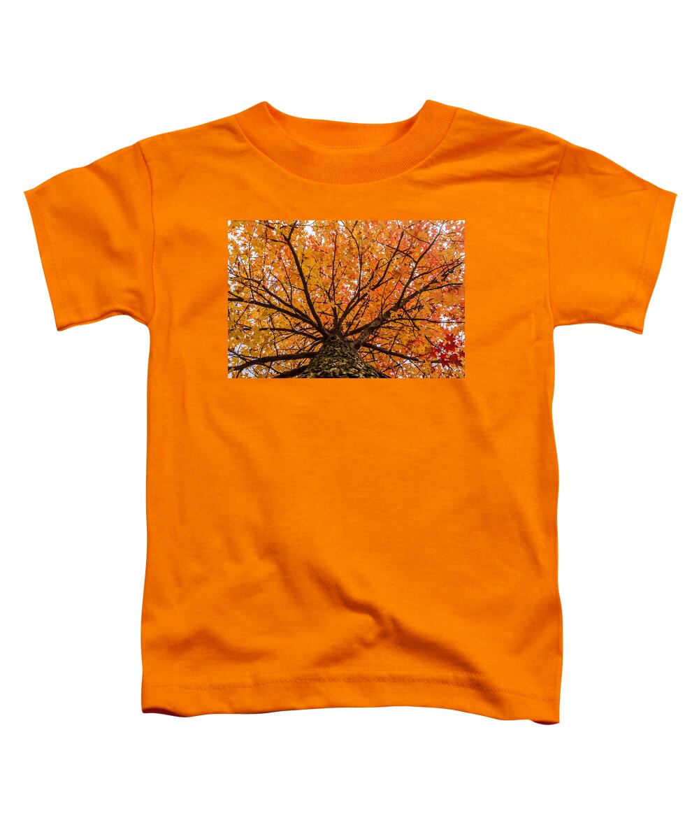 Autumn Toddler T-Shirt featuring the photograph Fall display by SAURAVphoto Online Store