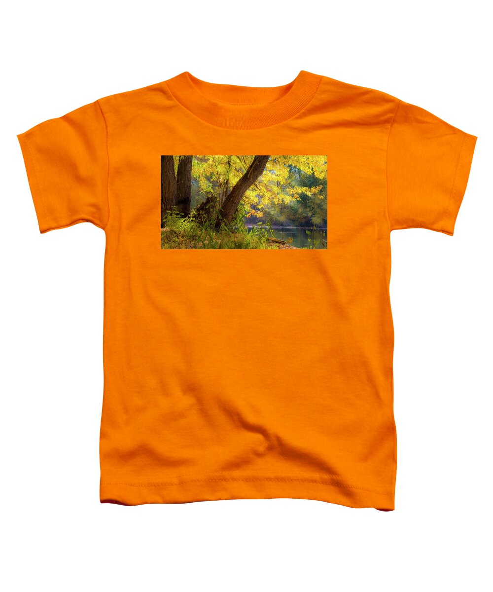 5dmkiv Toddler T-Shirt featuring the photograph Filtered Light 2 by Mark Mille