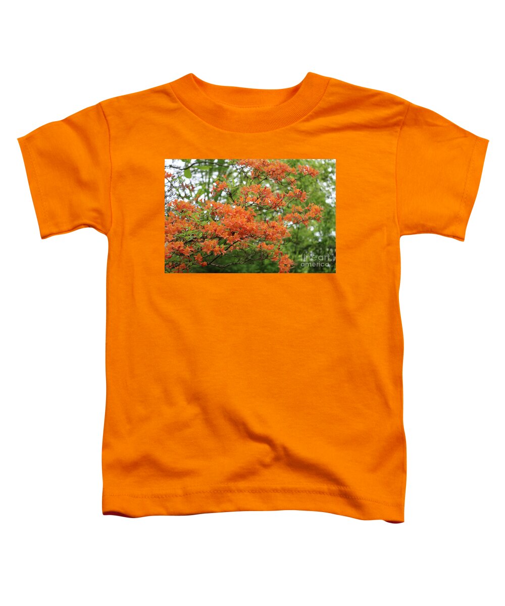 Flame Azaleas Toddler T-Shirt featuring the photograph Flame Azaleas by Carol Groenen