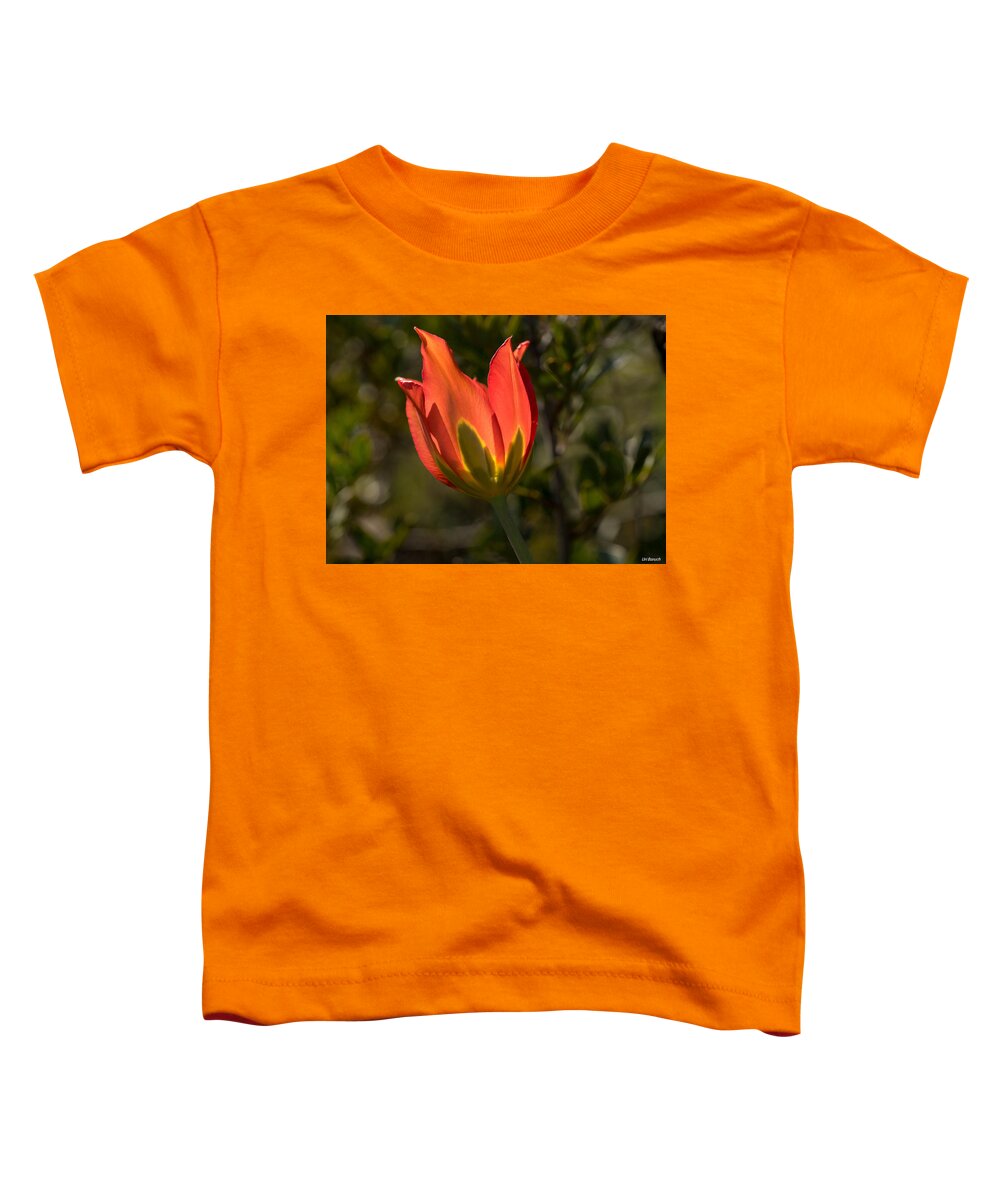 Flowers Toddler T-Shirt featuring the photograph Flaming Beauyy by Uri Baruch