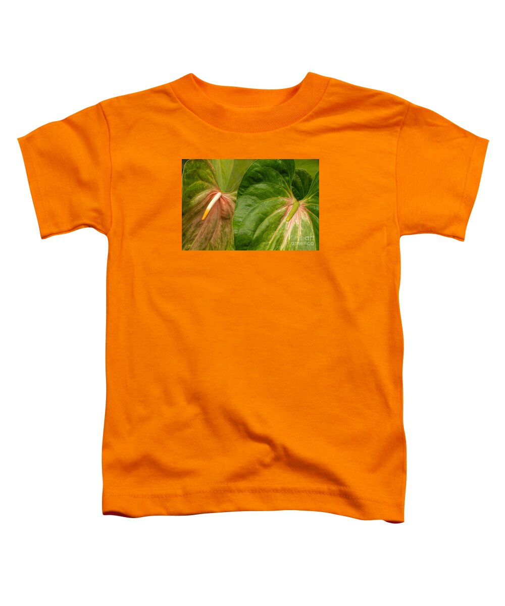 Conservatory Toddler T-Shirt featuring the photograph Flamingo Lilies by Marilyn Cornwell