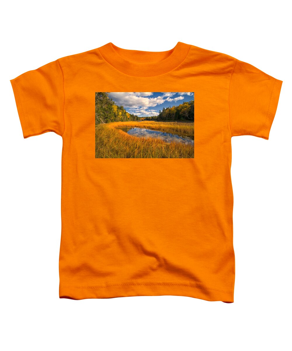 Raven Head Wilderness Toddler T-Shirt featuring the photograph Floodplane Autumn by Irwin Barrett