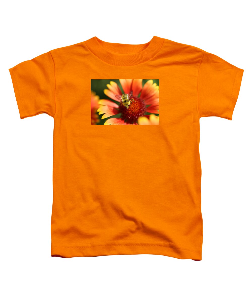 Gaillardia Toddler T-Shirt featuring the photograph Fuzzy Bumble Bee on Gaillardia by Tammy Pool