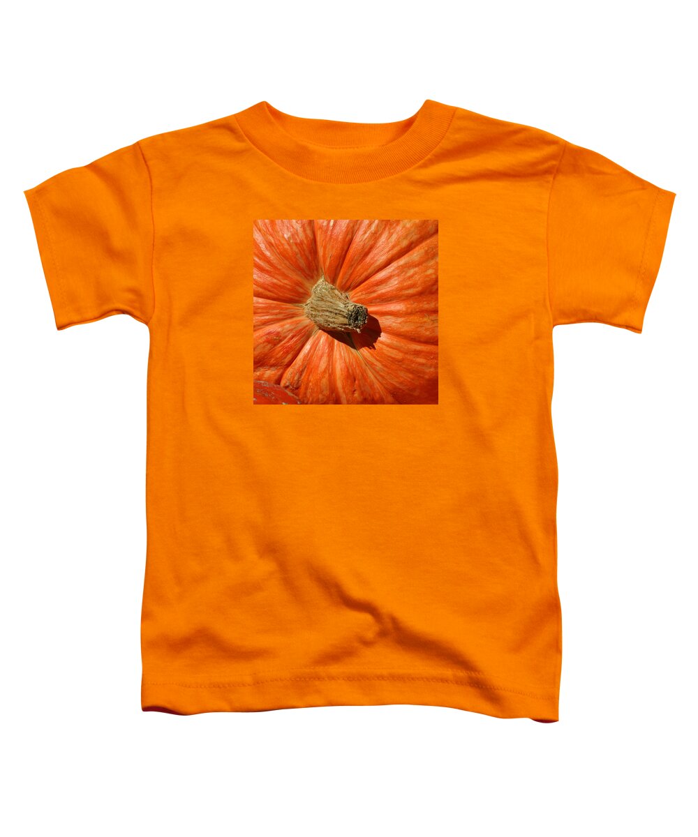 Pumpkin Toddler T-Shirt featuring the photograph Giant Pumpkin by Art Block Collections