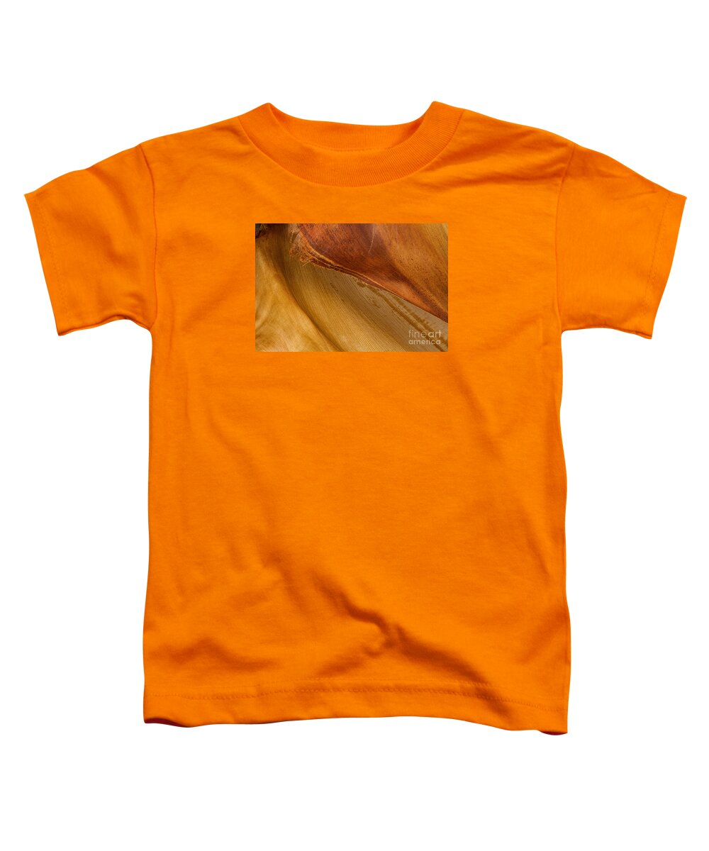 4 Arts Toddler T-Shirt featuring the photograph Golden Curves by Marilyn Cornwell
