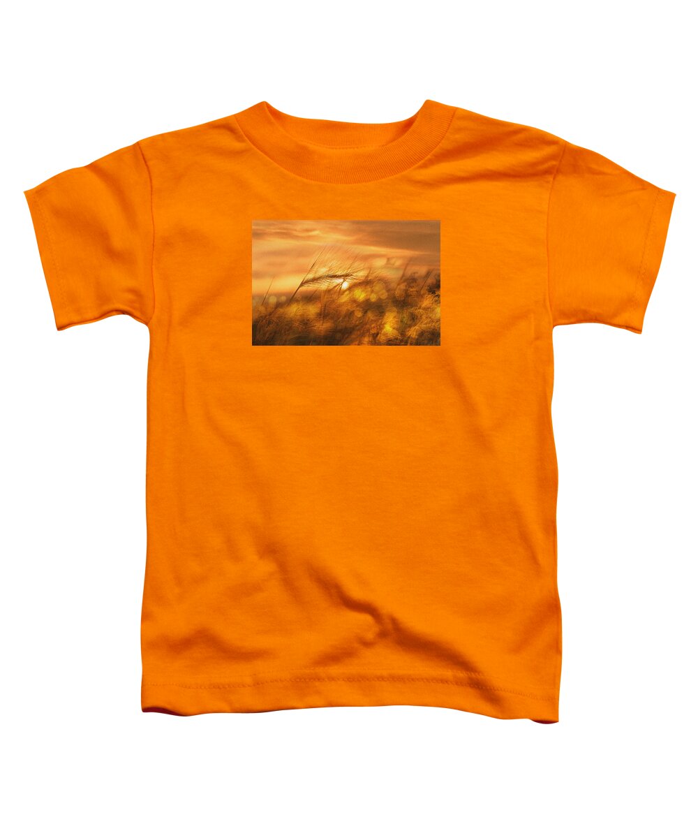 Abstract Toddler T-Shirt featuring the photograph Golden Dream by Marcus Karlsson Sall