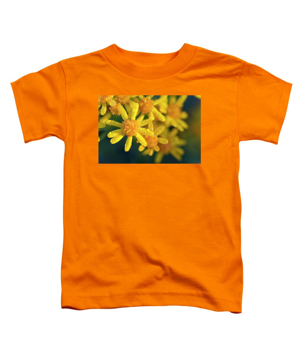 Wildflower Toddler T-Shirt featuring the photograph Golden Ragwort by Nancy Dunivin