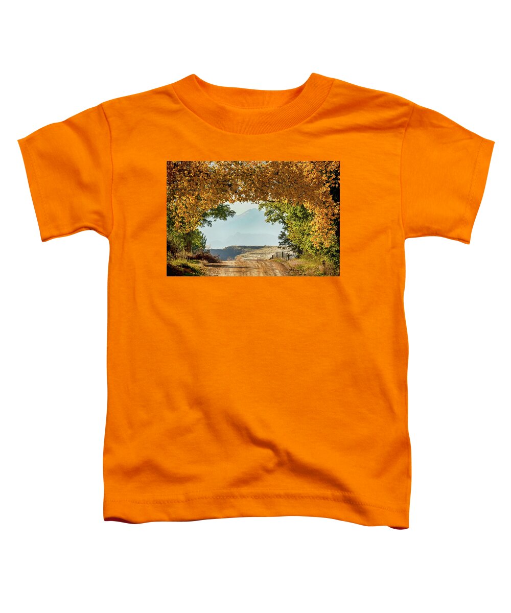 Roads Toddler T-Shirt featuring the photograph Golden Tunnel Of Love by James BO Insogna
