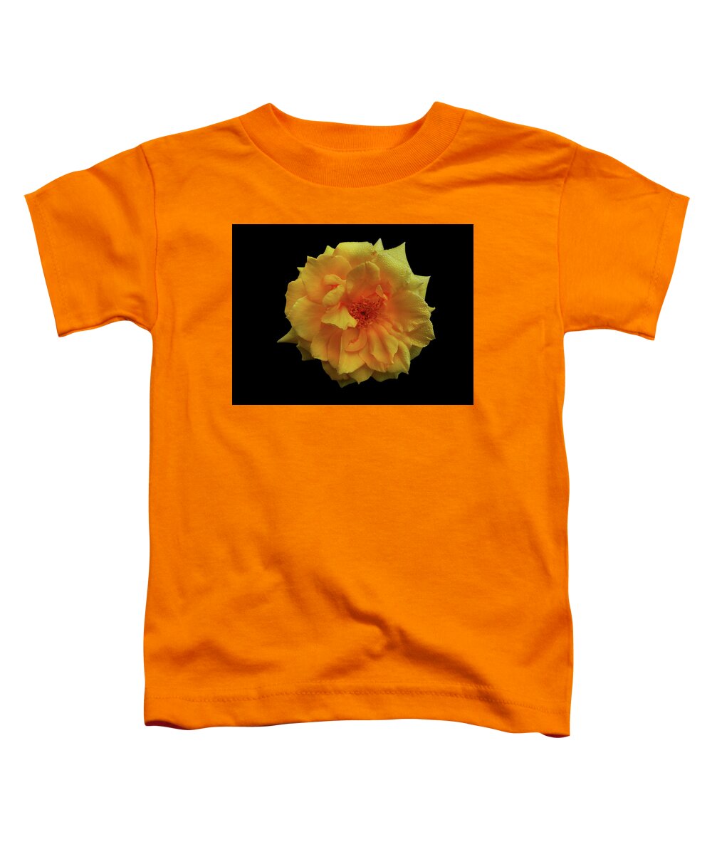 Rose Toddler T-Shirt featuring the photograph Golden Wonder by Mark Blauhoefer