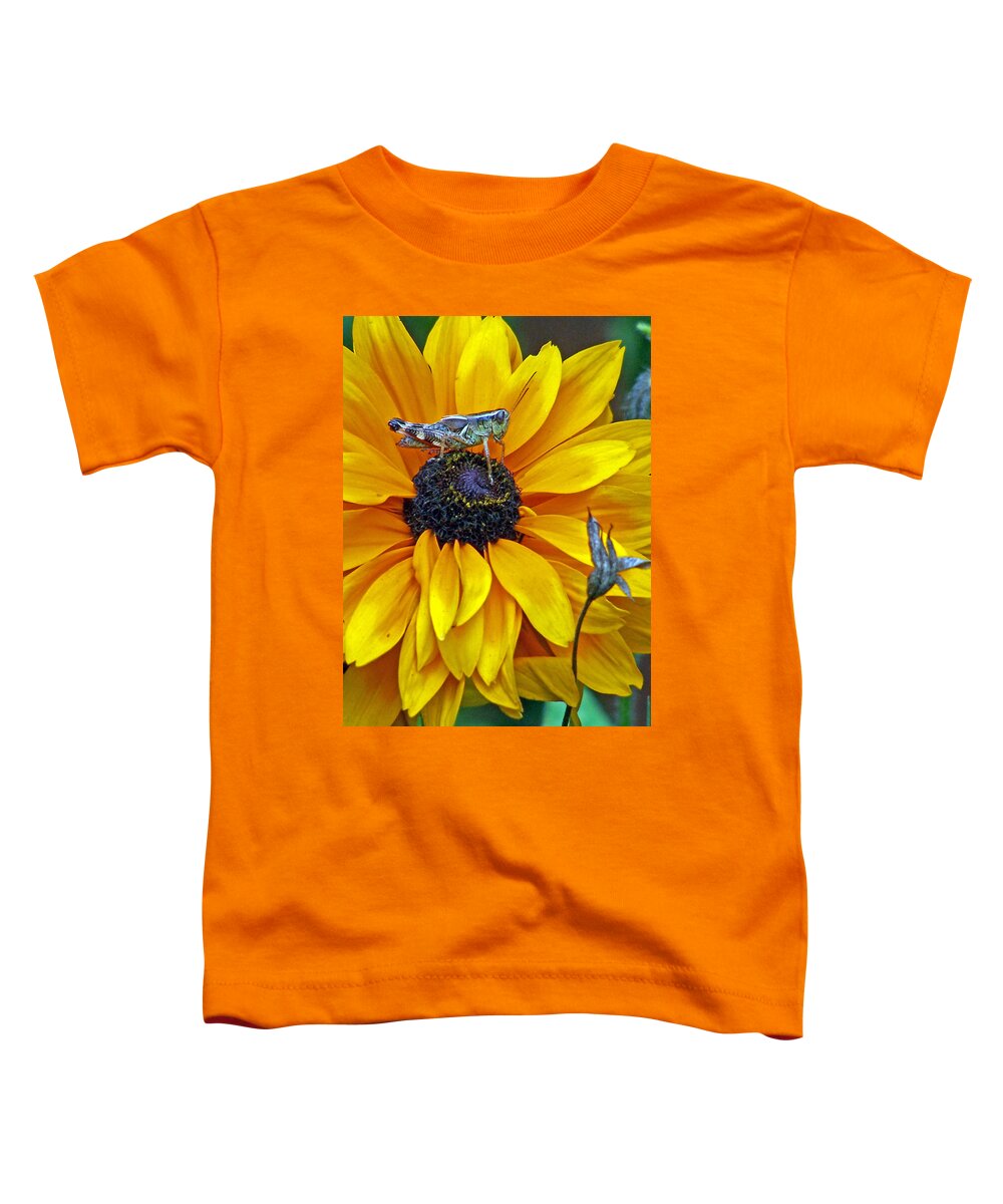 Insects Toddler T-Shirt featuring the photograph Grasshopper and Susan by Jennifer Robin