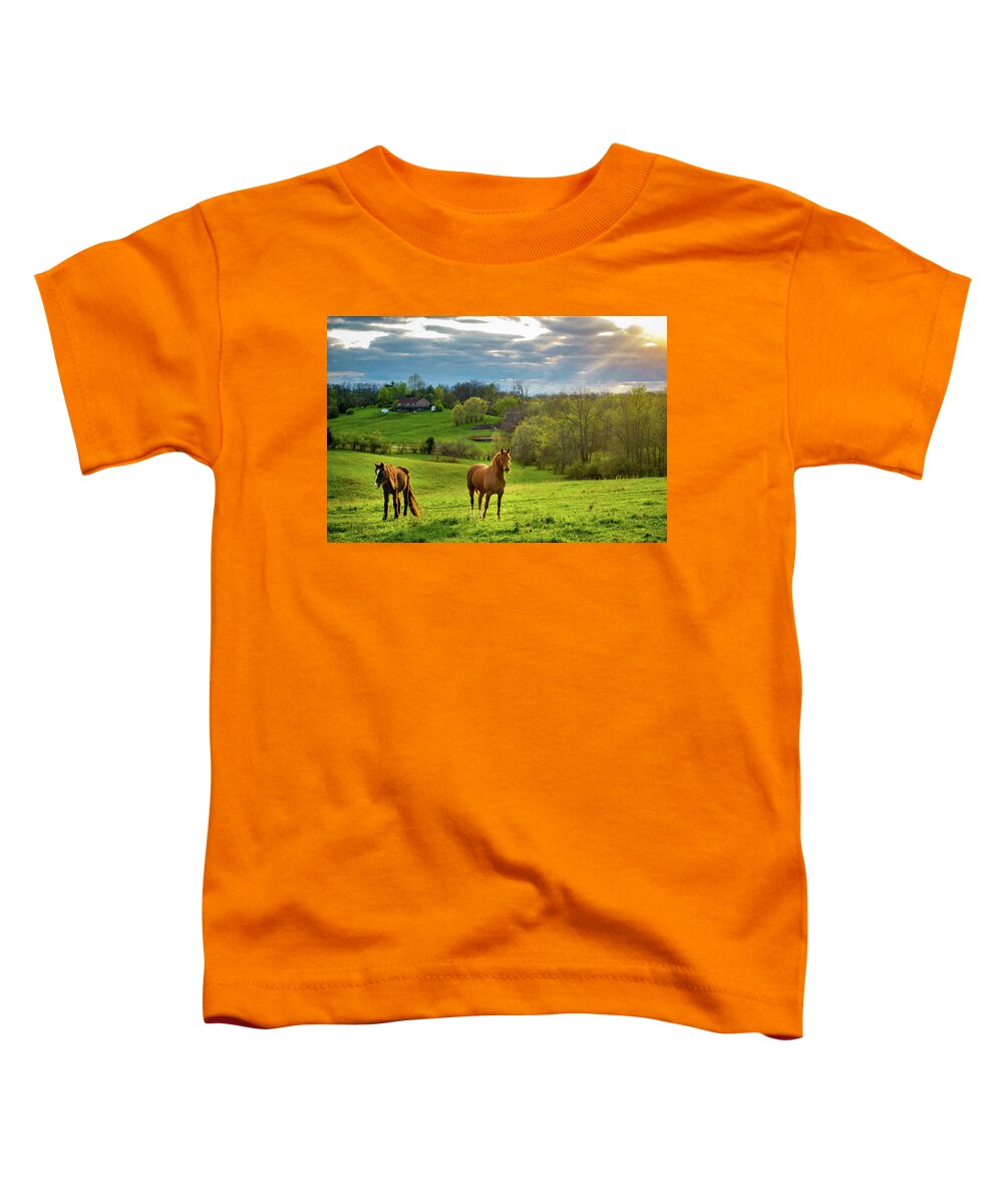 Agriculture Toddler T-Shirt featuring the photograph Horses on a pasture in Kentucky by Alexey Stiop