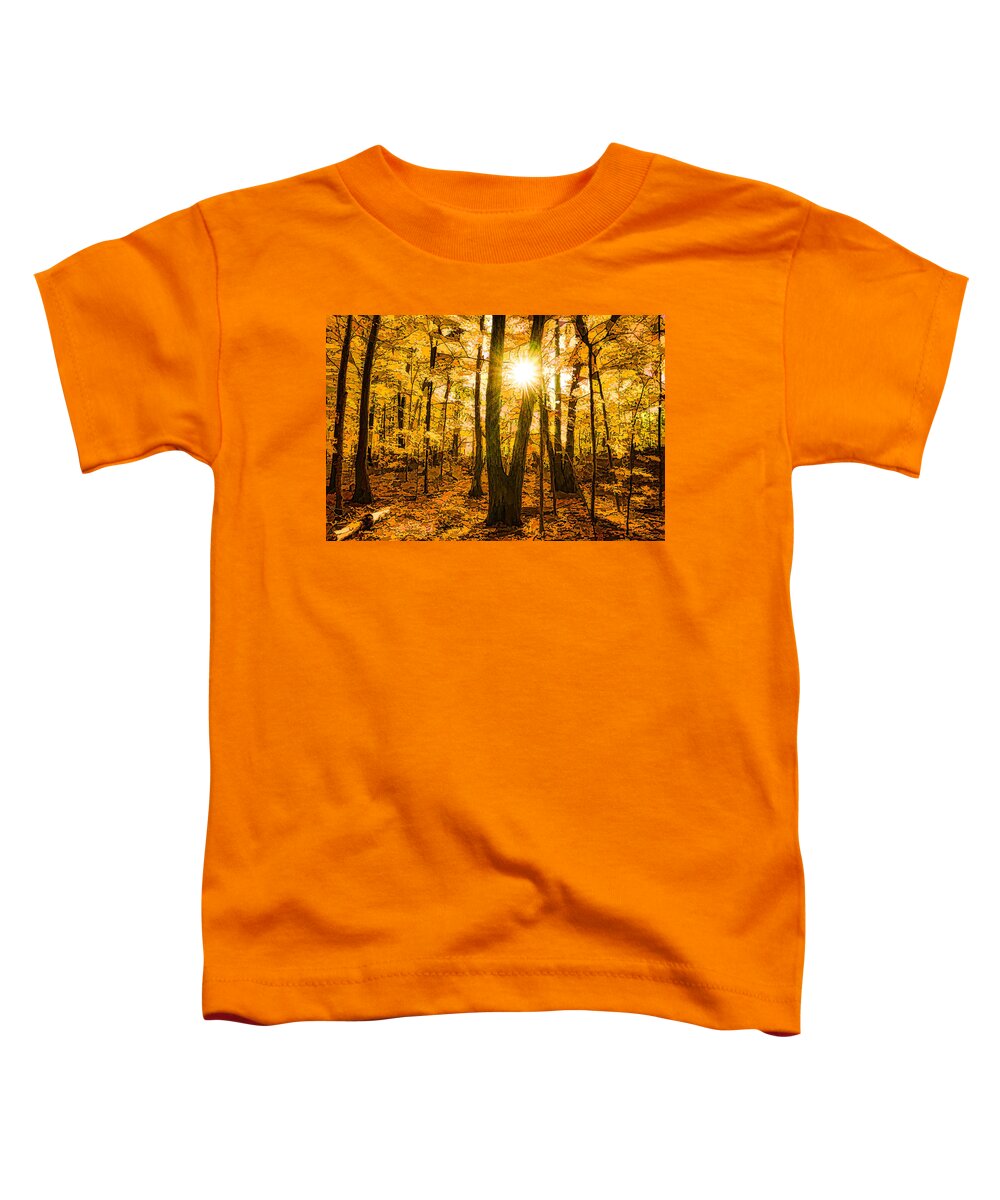 Georgia Mizuleva Toddler T-Shirt featuring the painting Impressions of Forests - Sunburst in the Golden Forest by Georgia Mizuleva