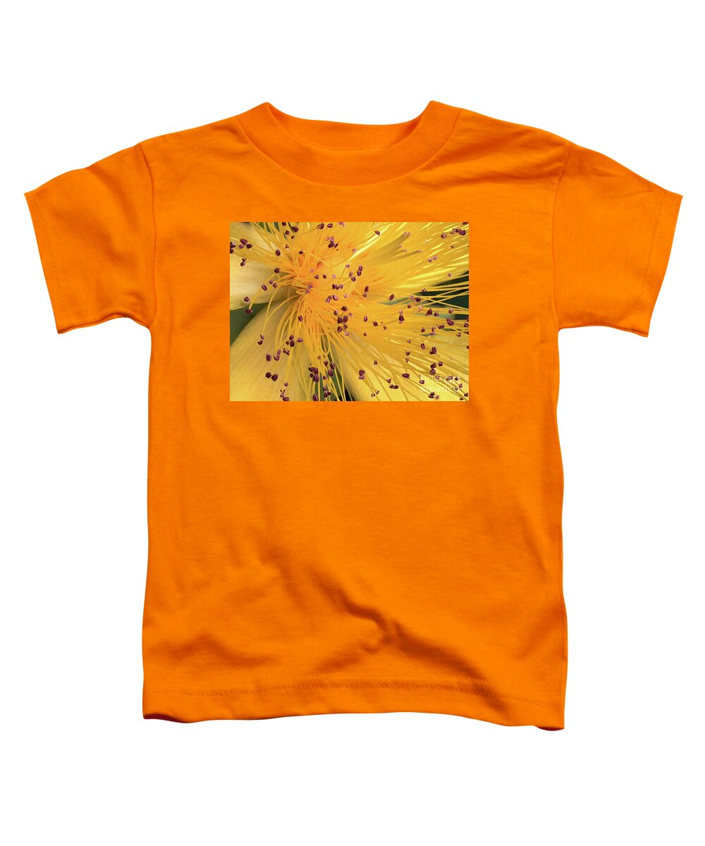 Flower Toddler T-Shirt featuring the photograph Inside a flower - Favorite of the bees by Eva-Maria Di Bella