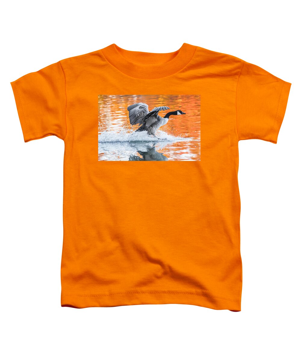 Canadian Goose Toddler T-Shirt featuring the photograph Landing by Parker Cunningham
