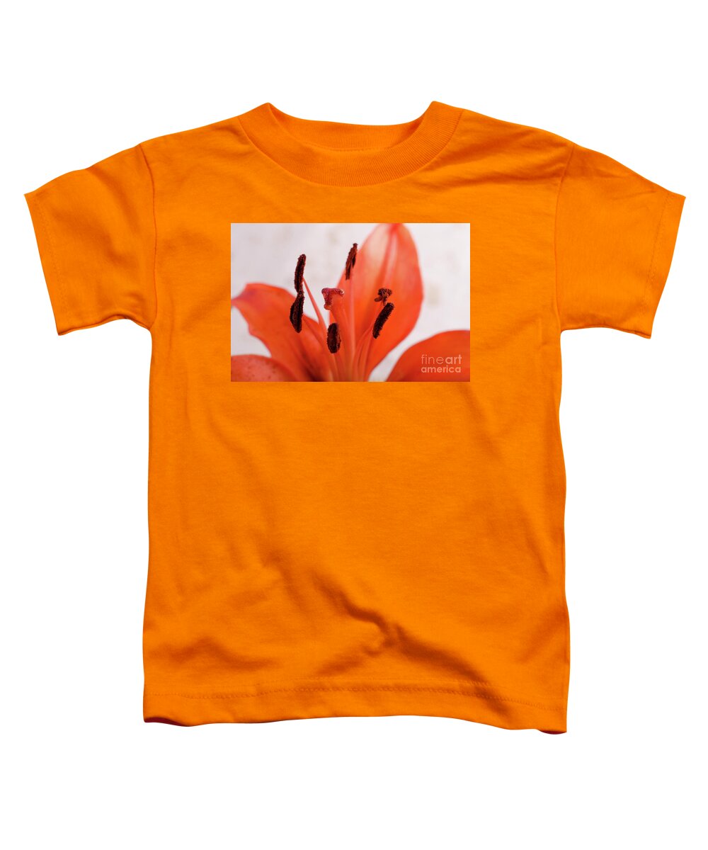Lily Toddler T-Shirt featuring the photograph Lily Stigma Botanical / Nature / Floral Photograph by PIPA Fine Art - Simply Solid