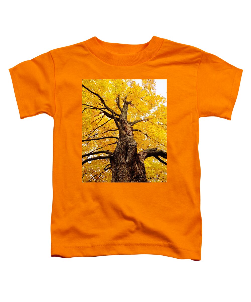 Trees Toddler T-Shirt featuring the photograph Looking Up by Lori Frisch