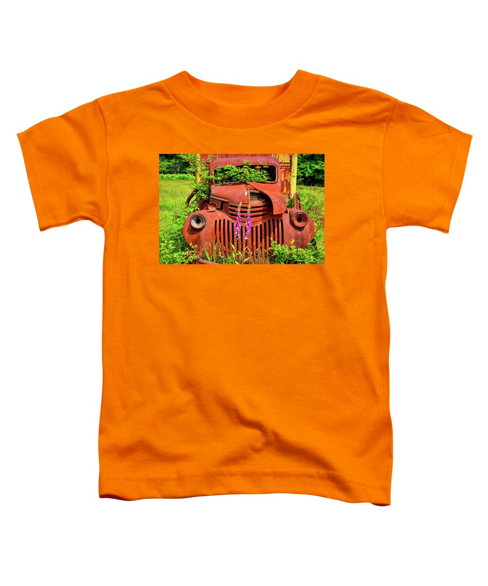Abandoned Toddler T-Shirt featuring the photograph Lost in the Rainforest by Spencer McDonald