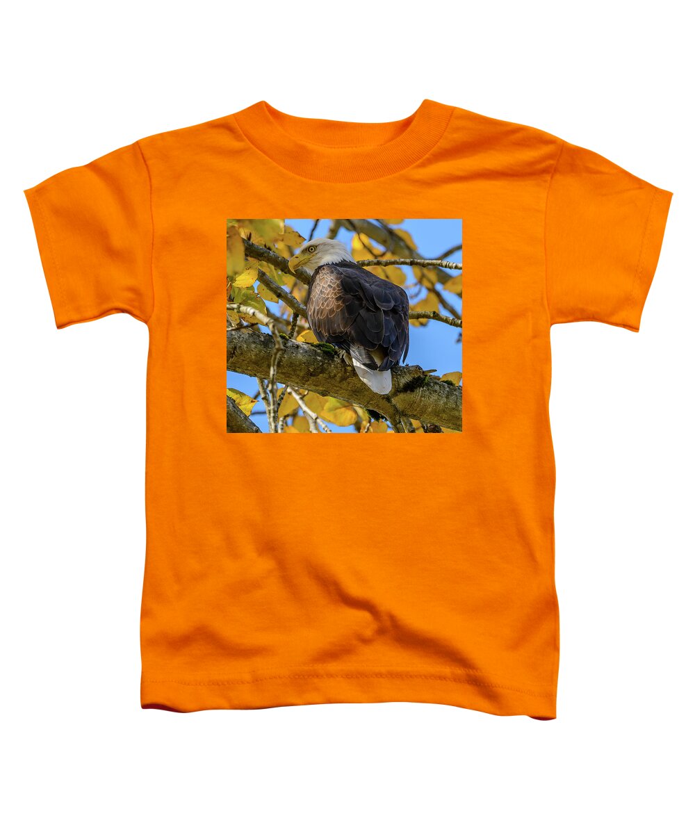 Eagle. Bald Eagle Toddler T-Shirt featuring the photograph Majesty in Yellow by Jerry Cahill