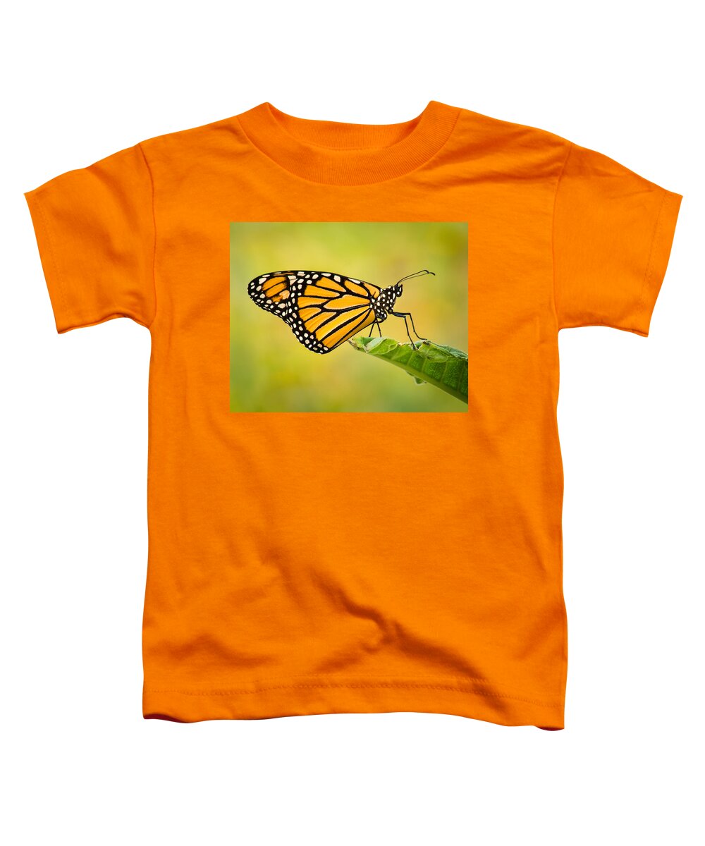 Macro Toddler T-Shirt featuring the photograph Monarch On the Throne by Bill Pevlor
