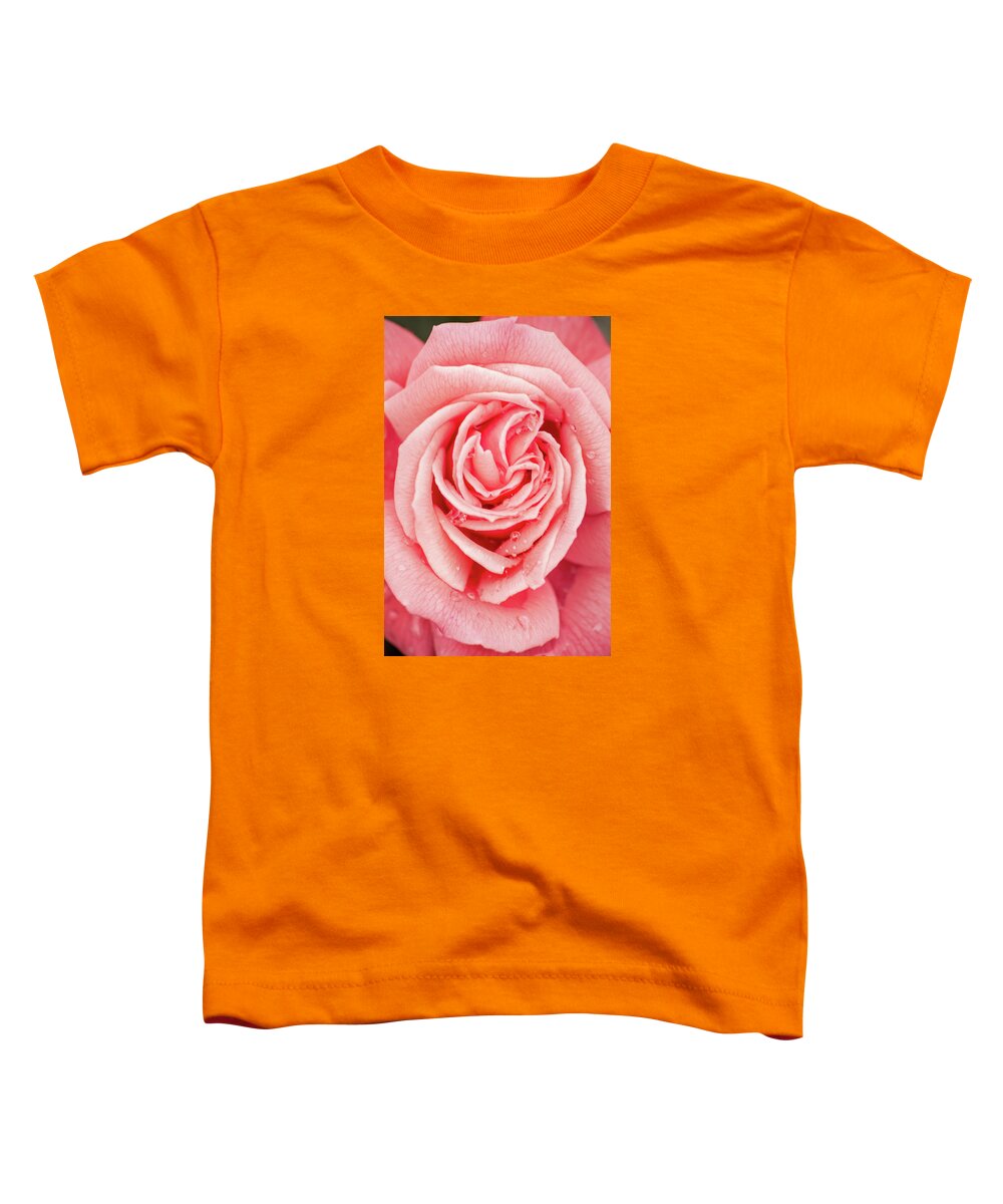 Flower Toddler T-Shirt featuring the photograph Mother's Day Rose by Don Johnson