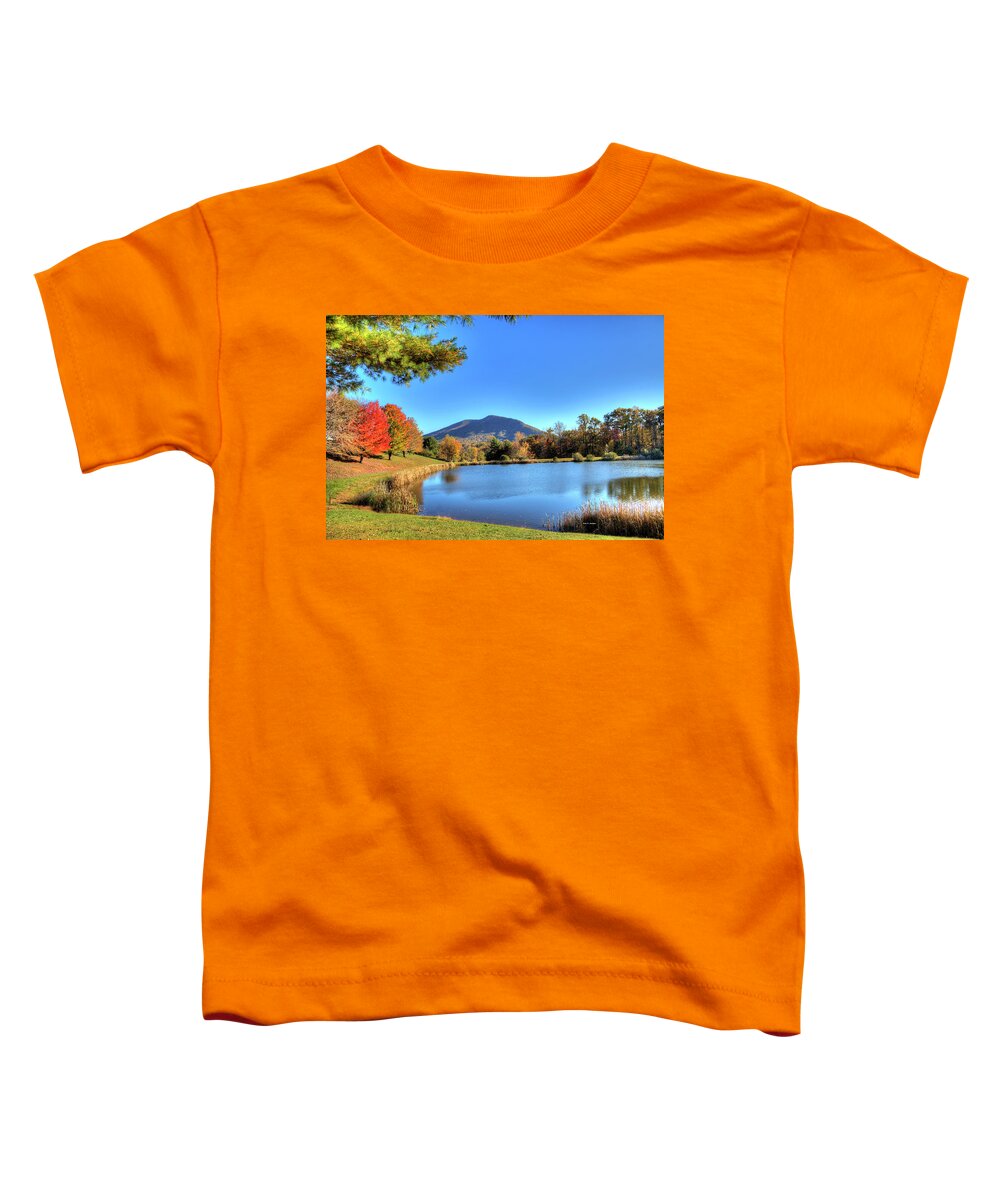 Mount Jefferson Toddler T-Shirt featuring the photograph Mount Jefferson Reflection by Dale R Carlson