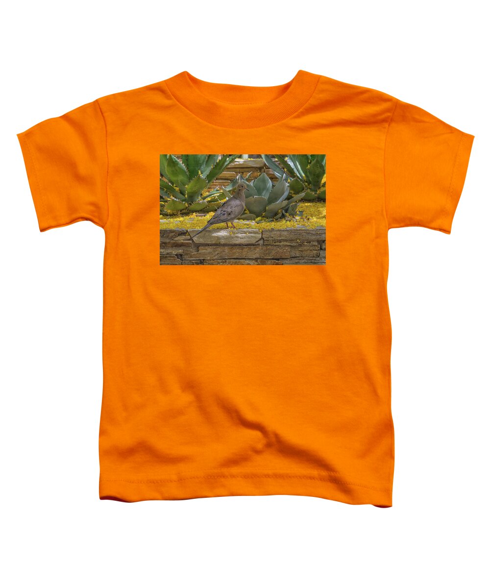 Mourning Toddler T-Shirt featuring the photograph Mourning Dove 5875-041118-1 by Tam Ryan
