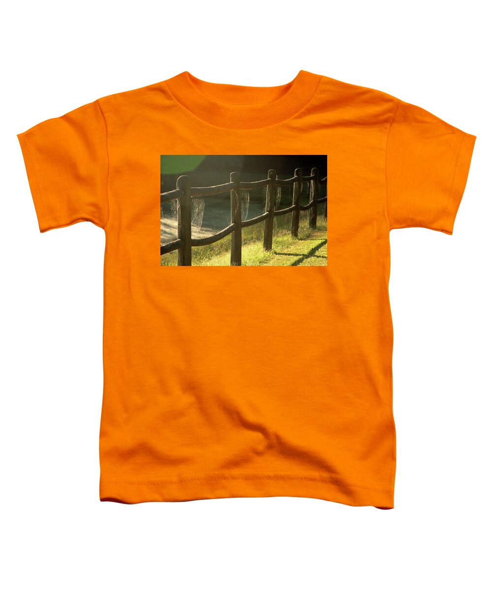 Spiderweb Toddler T-Shirt featuring the photograph Multiple spiderwebs on wooden fence by Emanuel Tanjala