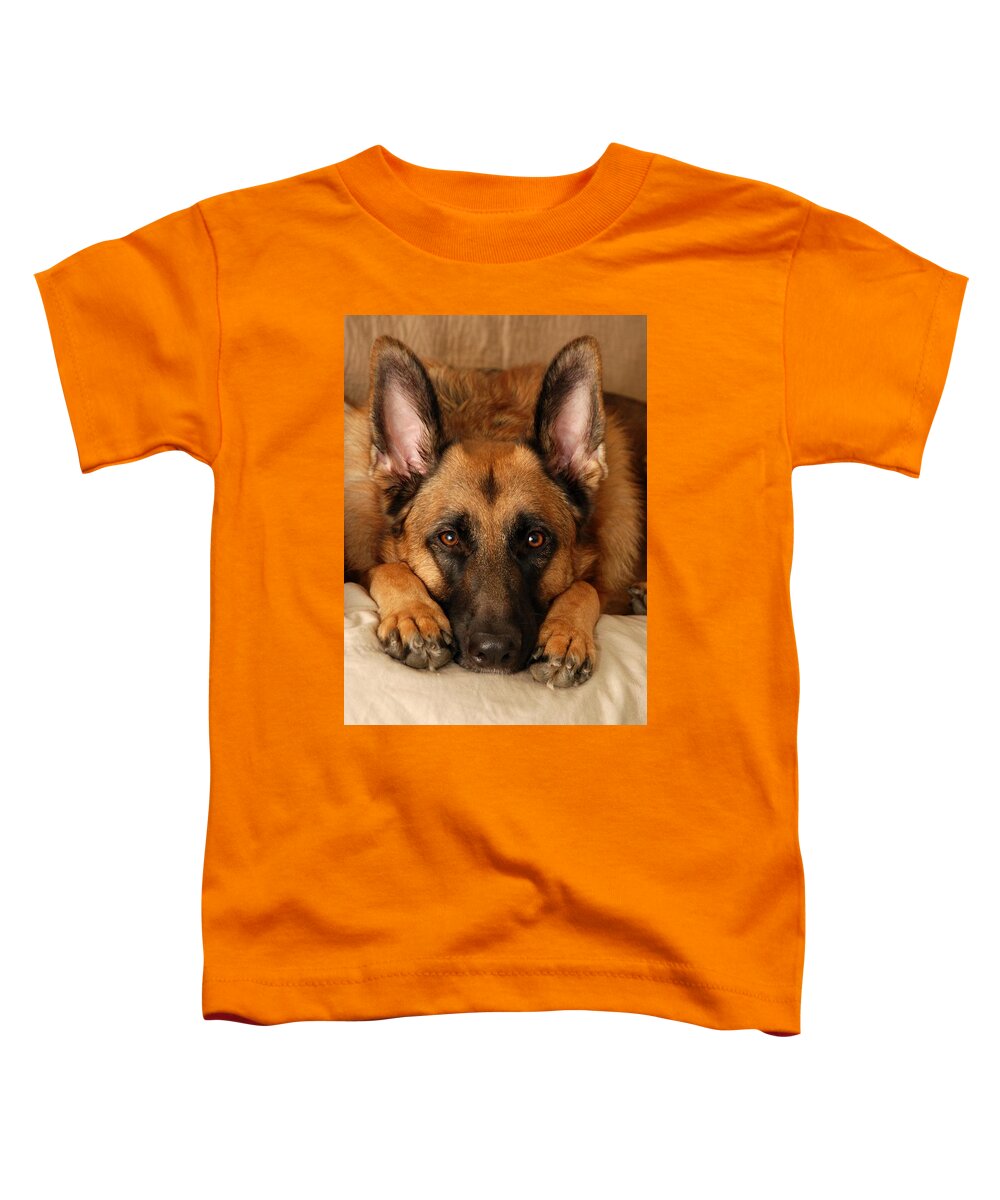 German Shepherd Dogs Toddler T-Shirt featuring the photograph My Loyal Friend by Angie Tirado