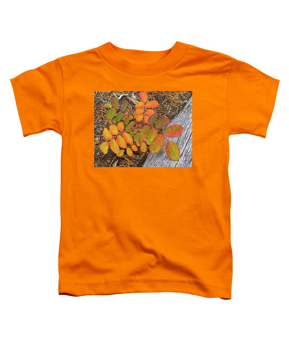 Colorado Mountains Toddler T-Shirt featuring the painting New And Old Life Cycles by Alan Johnson