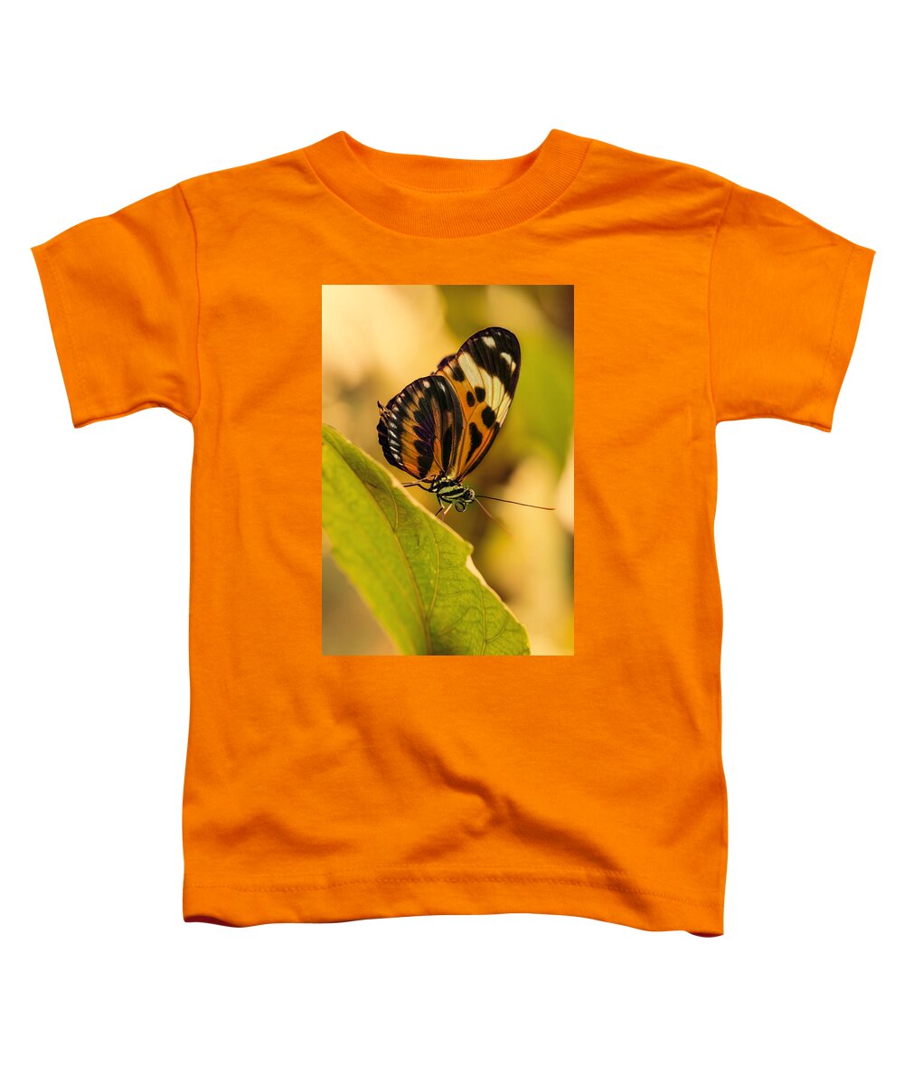 Butterfly Toddler T-Shirt featuring the photograph Orange and black butterfly on the green leaf by Jaroslaw Blaminsky