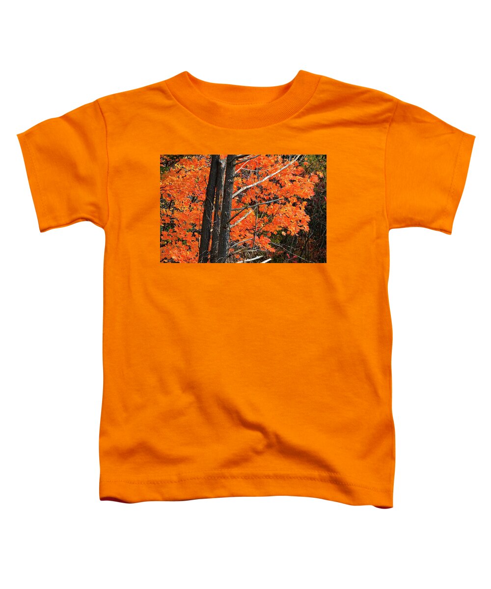 Abstract Toddler T-Shirt featuring the photograph Orange And Yellow Leaves Behind The Tree's by Lyle Crump