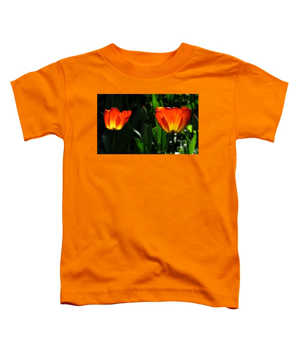 Tulips Toddler T-Shirt featuring the photograph Orange and Yellow Tulips by John Topman