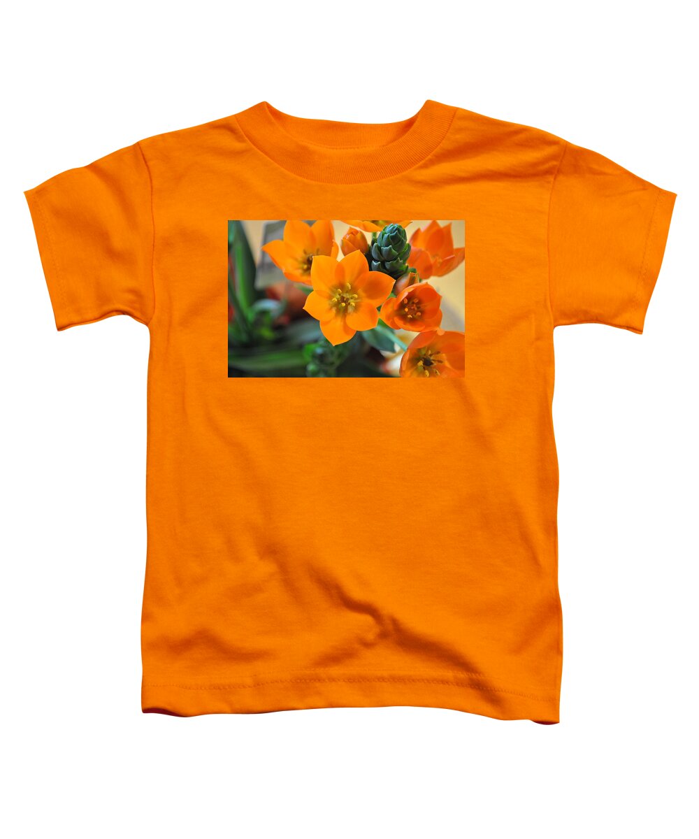 Orange Toddler T-Shirt featuring the photograph Orange Star by Bridgette Gomes